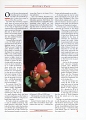 19870700 WM EDITORIAL 1:1